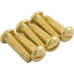 Light Screws, Hayward, SP0500, SP0501, SP0502, Quantity 6. Fixed Price $26.85.