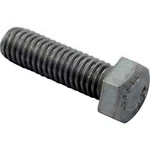 Pentair 070430 3/8, 16 1.25 Hex Head Bolt Fits Whisperflo, Intelliflo Wfe. Fixed Price $9.75.
