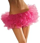 Rubies Secret Wishes Short Hot Tutu, Pink, One Size Halloween Adult Costume. Fixed Price $9.99.