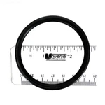 Astral Products 722R1362035 O-ring Tm Valve For Persius Filter Lid. Fixed Price $19.99.