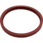 Pentair Gasket Kit, American Products Amerquartz, Light Lens 620400Z. Fixed Price $56.95.