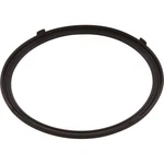 Gasket, Pentair Aqualumin Iii, Light Lens. Fixed Price $39.09.