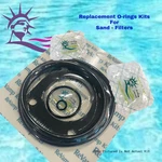 Laser Sand Filter (160L, 190L, 225L, 250L, LR3, LR6, MFM15) For Jacuzzi. Fixed Price $32.94.