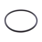 Jandy Zodiac W151211 Electrode O-ring. Fixed Price $15.76.