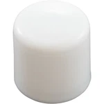 Sr Smith 05-618-R 1/2" Nut Cap Pvc Threaded Connection. Fixed Price $19.99.