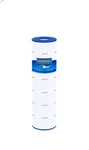 Cryspool CP08063 Filter Compatible With Jandy R0462400, PJANCS200, C-8418. Fixed Price $49.87.