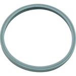 Light Lens Gasket, Pentair, Pacfab, Pool Star, Hatteras. Fixed Price $54.20.