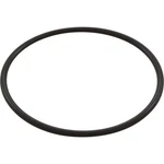 Waterway 805-0436 O-ring For Hiflo & Ii Series Pump. Fixed Price $13.63.