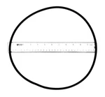Pentair 071433 O-ring For Pool Pumps. Fixed Price $19.00.