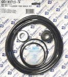 Gasket O-ring Seal Pentair Pac Fab Challenger Pool Pump Repair GO-KIT-5. Fixed Price $38.99.