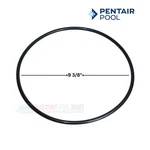 Pentair 351446Z 1/2" O-ring Seal Plate Rubber Npt Connection. Fixed Price $20.60.