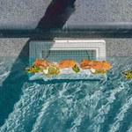 Pcs Skimmer Guard, 2025 Upgraded Stainless Steel Swimming Pool Net .... Fixed Price $48.07.