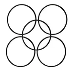5-PACK 357255 Lid O-ring For Pentair Superflo, Sta-rite Supermax & Optiflo .... Fixed Price $14.46.