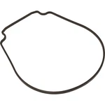 Gasket, Pentair Purex Intelliflo Vs, Seal Plate, Special Id/od. Fixed Price $15.00.