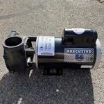 Executive 56 3722021-13 5HP Dual-speed Fr Spa Pump 230V Waterway Motor Only. Fixed Price $349.99.