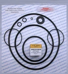 Badass Pool Supply Oring Rebuild Repair Kit For Jandy Zodiac Fhpf, Fhpm, Flo.... Fixed Price $46.21.