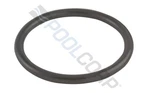Pentair 35505-1318Z O-ring 2" Valve Linkage For Sta-rite WC212-134P. Fixed Price $19.99.