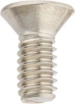 Hayward Skimmer Cover Screw SPX1082Z1. Fixed Price $10.95.