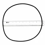 Aquatic Pool Company APCO2245 11.5" Lid O-ring. Fixed Price $12.00.