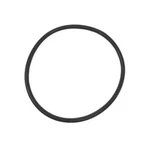 Replacement Pool Filter Pump Lid / Cover O-ring Gasket Intex 10325 (game 4574). Fixed Price $8.99.