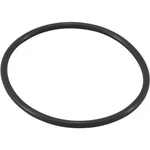 Zodiac O-ring, Jandy Pro Series Truclear Chlorinator, Oem. Fixed Price $13.31.