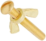 Pentair R221156 155 Brass Bolt And Wing Nut. Fixed Price $10.15.