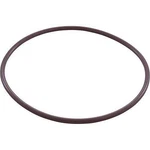 R172223Z Pentair O-ring, Housing Rainbow. Fixed Price $18.25.
