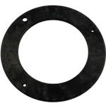 Pentair 355495Z Hp Pump Mounting Plate, Pvc, 1/2" Npt, Challenger. Fixed Price $29.65.