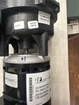 Hp Waterway Executive Spa Pump: 2" In/out 48FR-240V. Fixed Price $345.00.
