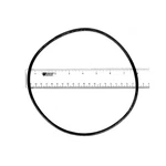 Astral 773R1920050 O-ring. Fixed Price $13.85.