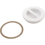 Plug, Hayward, Flush Inlet Fitting, 1-1/2". Fixed Price $12.00.