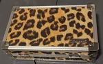Vaultz Pen Card Security Case. Fixed Price $29.95.