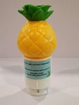 3" Tab Holder Chlorine Game Pineapple Solar Lighted Chlorinator. Fixed Price $26.00.