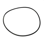 O-ring For Waterway Executive Volute 805-0261 / Pentair Sta-rite Valve 271151. Fixed Price $11.99.