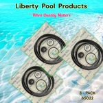 Hydropump From Liberty Pool Products Usa 65022 Fits Fab GO-KIT22 3-PACK. Fixed Price $70.13.