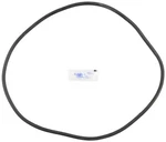 Pentair 270010061S Filter Tank O-ring. Fixed Price $62.95.