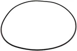 Waterway Plastics 672-7180B Clearwater Ii Lid O-ring. Fixed Price $34.45.