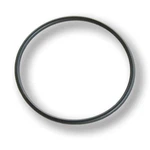 Jandy O Ring 2IN R0412700. Fixed Price $23.95.