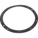 Aladdin G-110R 1/2" Rubber Gasket Light Niche Npt. Fixed Price $24.26.
