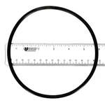 Carvin/jacuzzi Magnun Strainer Cover O-ring O336 47035803R. Fixed Price $14.95.