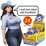 24 Scumballs Spa Oil Absorber Hot Tub Pool Sponge 12X2P. Fixed Price $29.88.