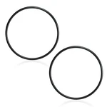 354533 Cover O-ring For Pentair Sta-rite Dynamo/sea-horse Pool Pumps 2PCS. Fixed Price $10.33.