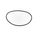 Pentair 152517 0.125" X 6.25" Valve Adapter O-ring For Filters. Fixed Price $14.22.