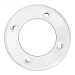 Pentair 545100 White Wall Fitting Face Plate. Fixed Price $19.99.