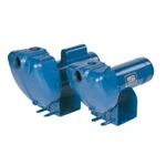 Pentair Starite Sta-rite Pro-storm DS3HF 1-1/2 Hp Centrifugal Pump. Fixed Price $849.95.