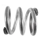 Carvin/jacuzzi Spring 22358709R. Fixed Price $14.95.