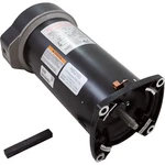 Century HSQ165 Pool Motor, 1.65 Hp, 115 - 230 V Speed, Sqfl, 48Y Frame. Fixed Price $349.95.