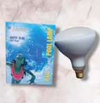 Halco 400W Flood Pool Lamp Brass Base E26 120V R40 Hard Glass Bulbs 104038. Fixed Price $21.50.
