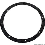 Light Niche Gasket Kit, Pentair Amerlite, 8-HOLE, Vinyl. Fixed Price $55.99.