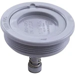 Waterway 540-6010 Equalizer Valve Assembly For Skimmer. Fixed Price $31.03.